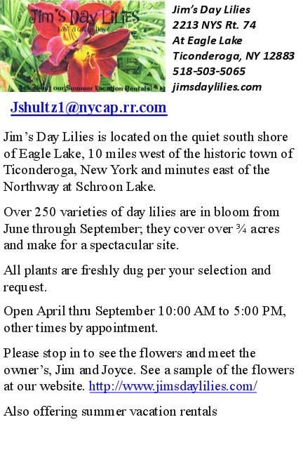 Jims Day Lilies